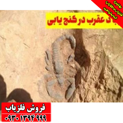 راهنمای جامع نماد عقرب در گنج‌یابی؛ از تشخیص تا حفاری ایمن