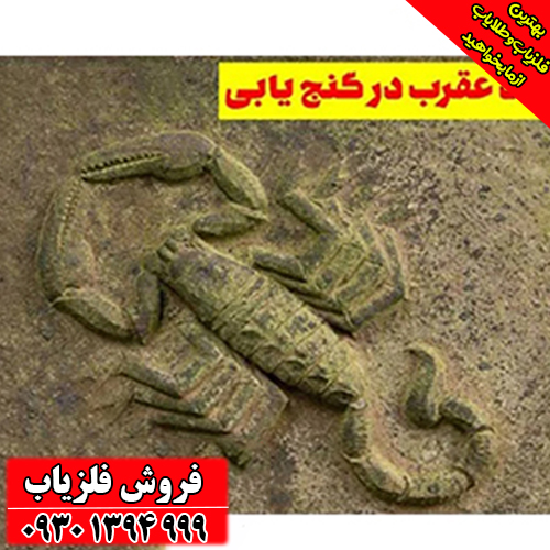 راهنمای جامع نماد عقرب در گنج‌یابی؛ از تشخیص تا حفاری ایمن