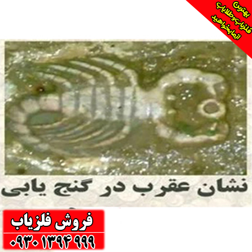 راهنمای جامع نماد عقرب در گنج‌یابی؛ از تشخیص تا حفاری ایمن