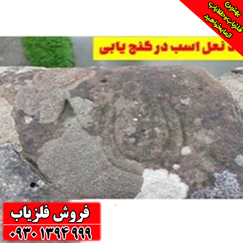 نماد نعل اسب در دفینه‌یابی؛ اشتباهات رایج که گنج را از دست می‌دهید!