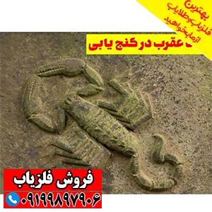 نماد عقرب در دفینه یابی