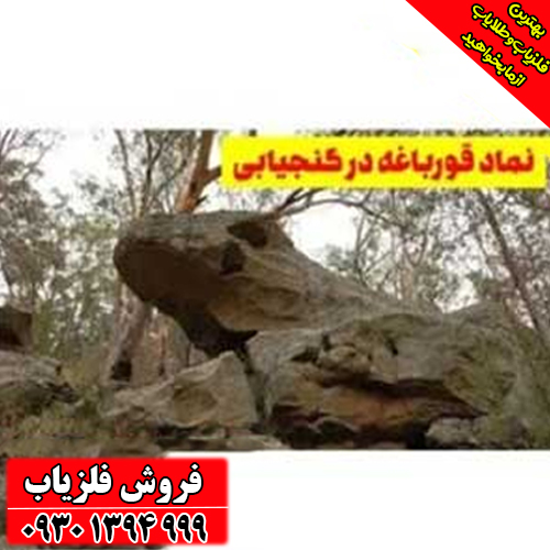 نماد قورباغه در دفینه‌یابی چیست؟ معانی پنهان این نشانه نادر و مرموز
