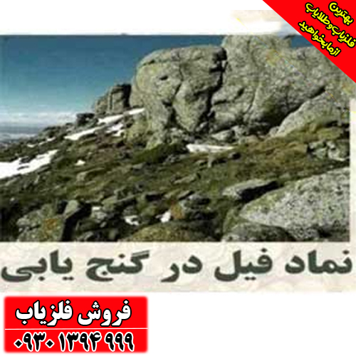 نماد فیل در دفینه‌یابی ؛ مفهوم، نشانه‌ها و رمزگشایی کامل 