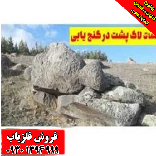 نماد لاک‌پشت در دفینه‌یابی ؛ نشانه‌ها، مفاهیم و رمزگشایی کامل