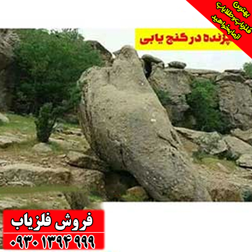 نماد کبوتر در دفینه‌یابی چیست؟ معانی پنهان این نشانه صلح و پیام‌آوری