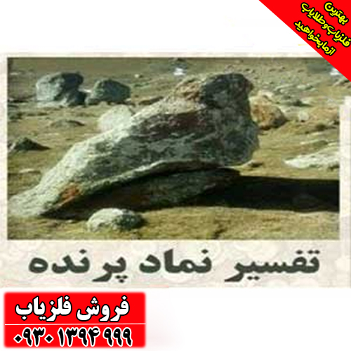نماد کبوتر در دفینه‌یابی چیست؟ معانی پنهان این نشانه صلح و پیام‌آوری