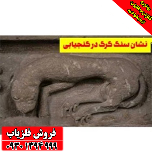 نماد گرگ در دفینه‌یابی؛ از اسطوره‌های کهن تا علائم واقعی در میدان