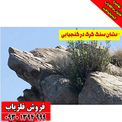 نماد گرگ در دفینه‌یابی؛ از اسطوره‌های کهن تا علائم واقعی در میدان