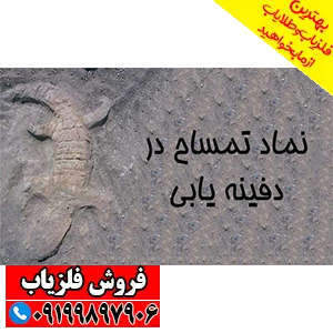 نماد تمساح در دفینه یابی