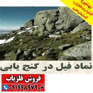 نماد فیل در دفینه یابی