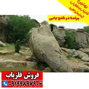 نماد کبوتر در دفینه یابی